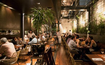 Congresso Aprova Lei que Regulariza a Gorjeta em Bares e Restaurantes