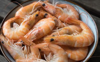 Dica para donos de restaurante: como trabalhar com frutos do mar